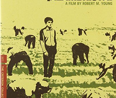 ALAMBRISTA! (THE CRITERION COLLECTION) [BLU-RAY] Cheap